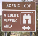 Signfor Scenic Loop.